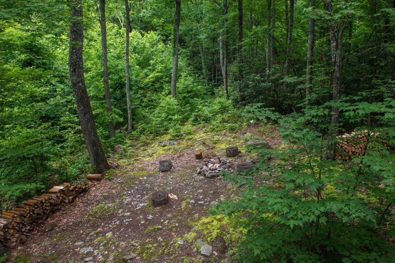 Chief Big Log Vila Hatchertown Exterior foto